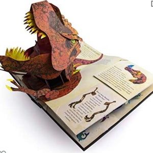 Pop up Book
